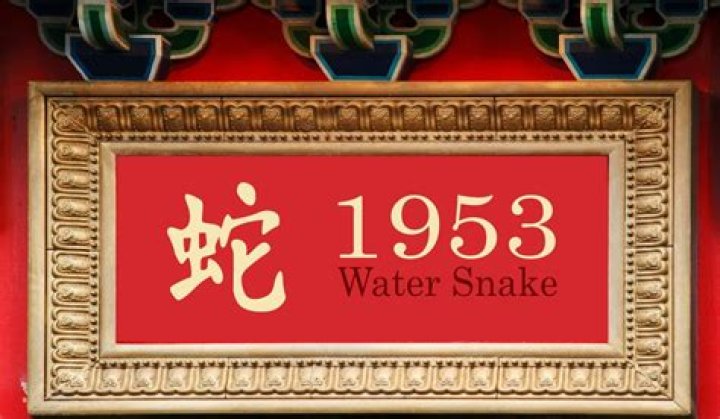 1953 Chinese Zodiac | Water Snake