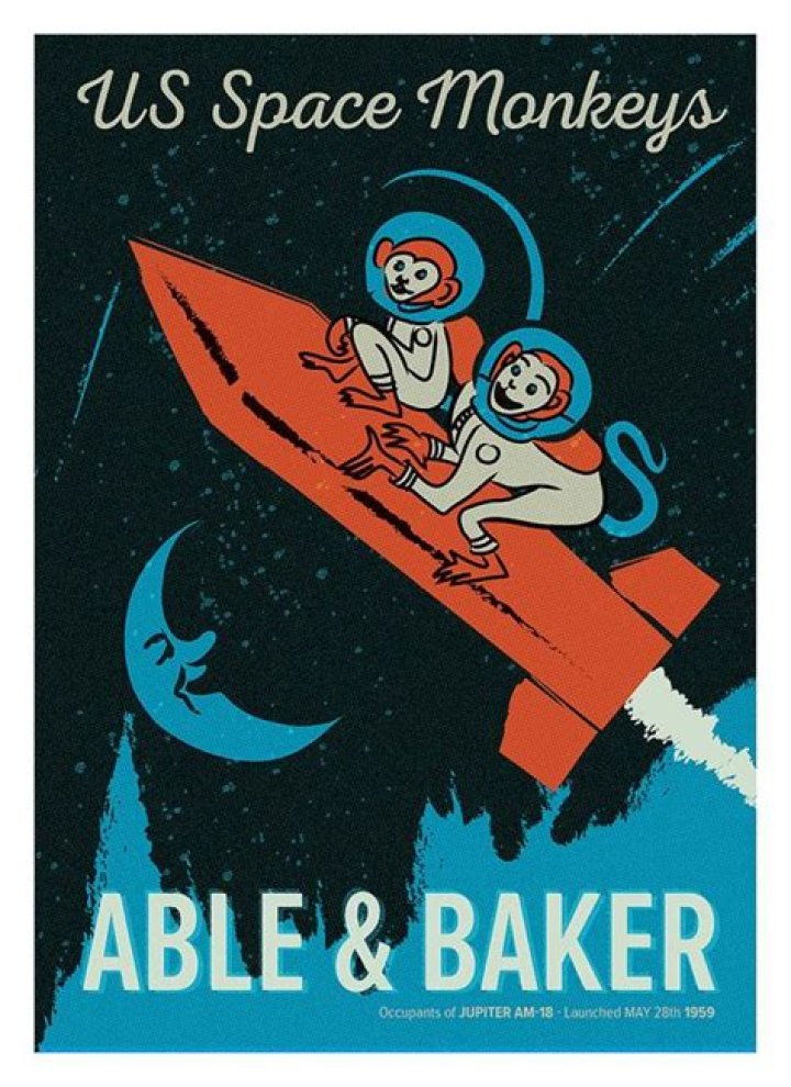 60 years on! Monkeys Able and Baker were first primates to survive a spaceflight on 28 May 1959!