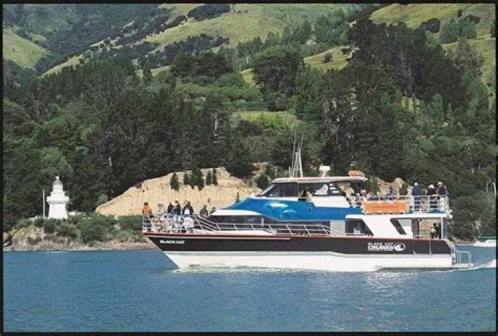 Akaroa Shore Excursions & Cruise Excursions