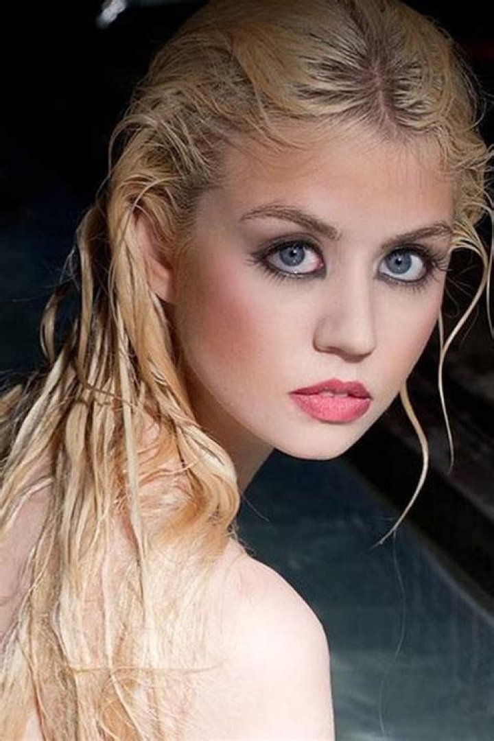Allison Harvard Bio (Wiki) 
