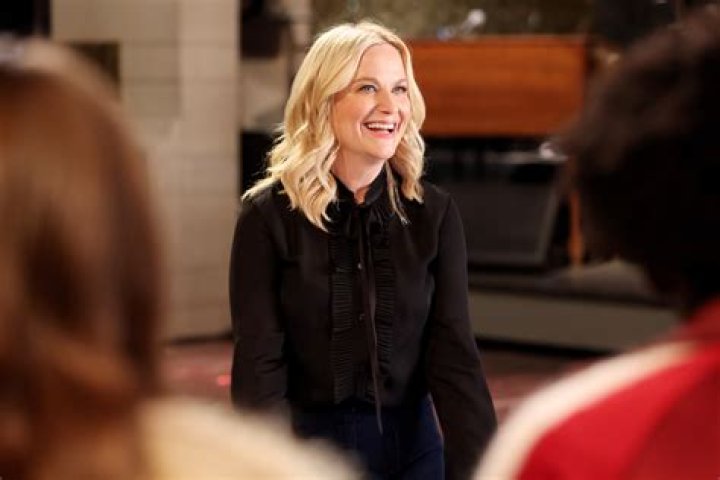 Amy Poehler will leave SNL in November