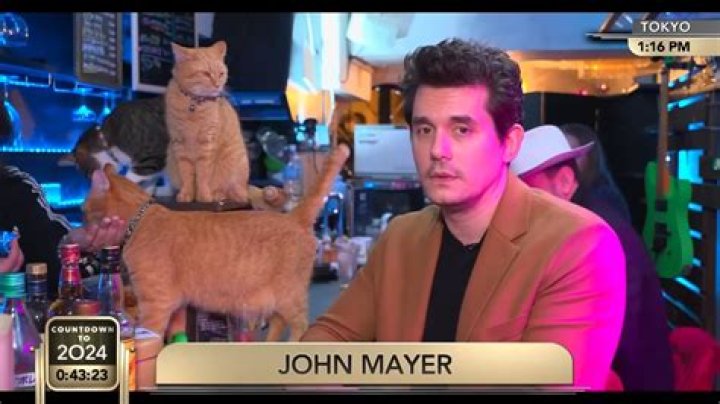 Andy Cohen: It was John Mayer’s idea to phone in for New Year’s from the cat cafe