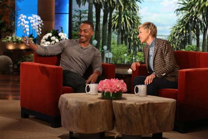 Anthony Mackie loves dumpster diving, redid his house with reclaimed garbage
