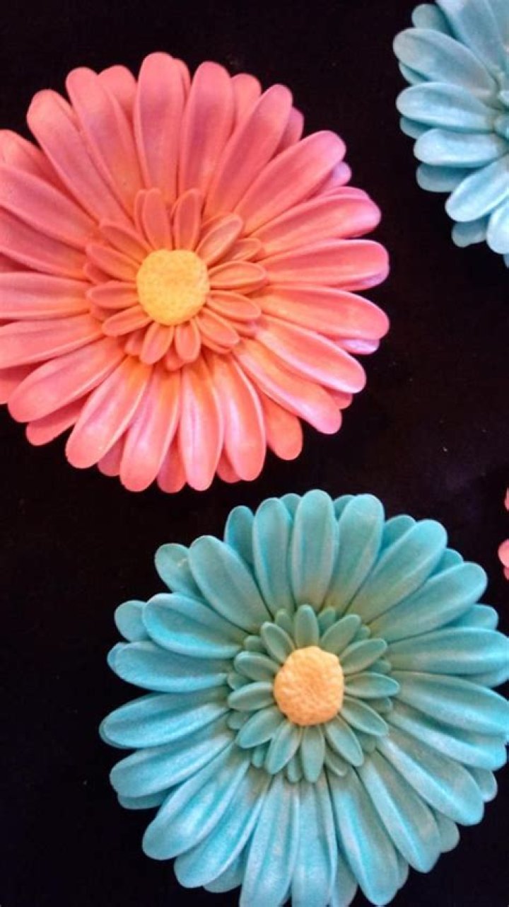 Are Gerber daisies edible?