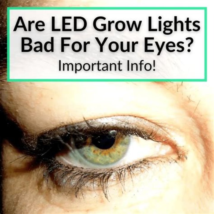 Are LED grow lights bad for your eyes?