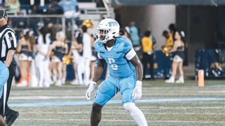 Baylor Barnes Bio (Wiki) 
