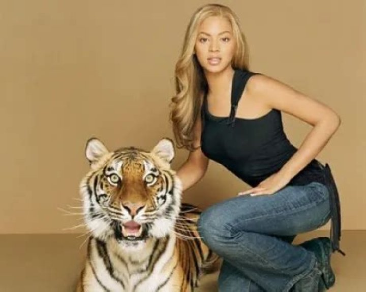 Beyoncé Pets - Celebrity Pets