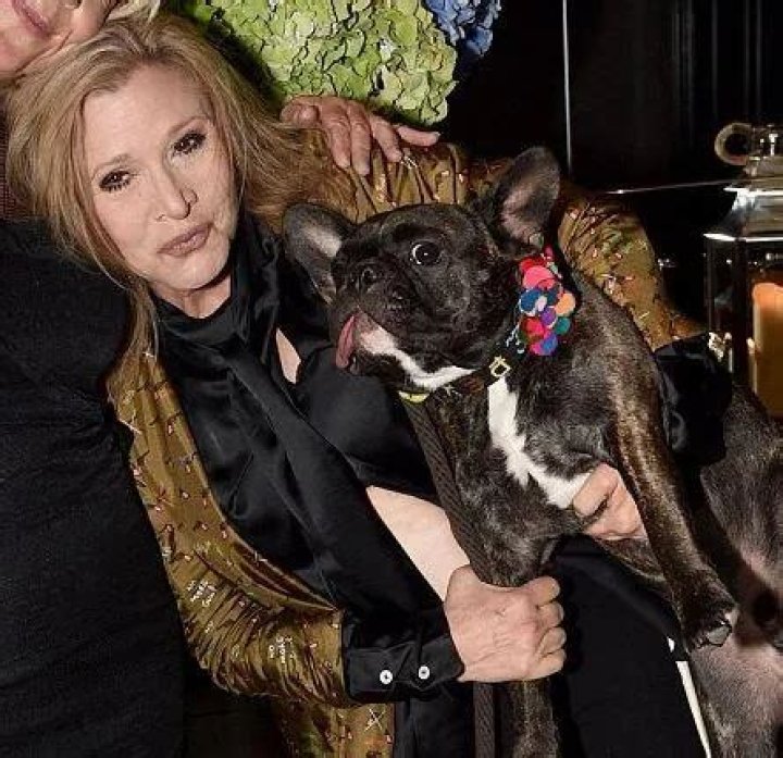 Billie Lourd Pets - Celebrity Pets