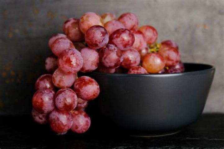 Can bunnies eat grapes with seeds?