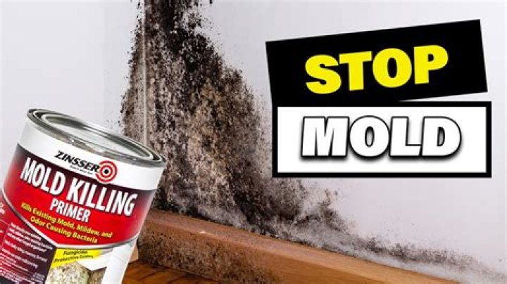Can cooking kill mold?
