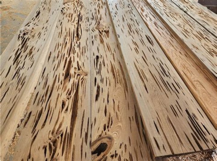 Can Cypress be painted?