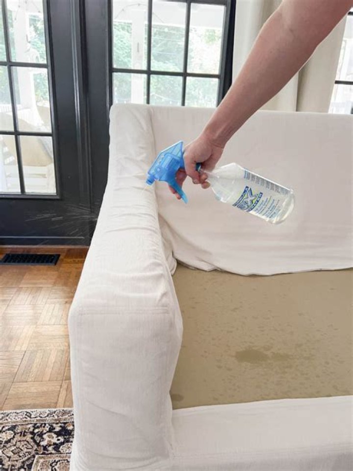 Can dry cleaners clean couch cushions?