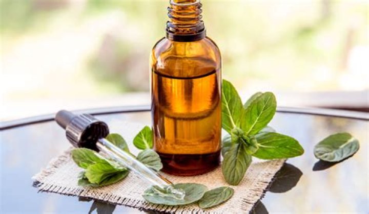 Can essential oils kill fleas?