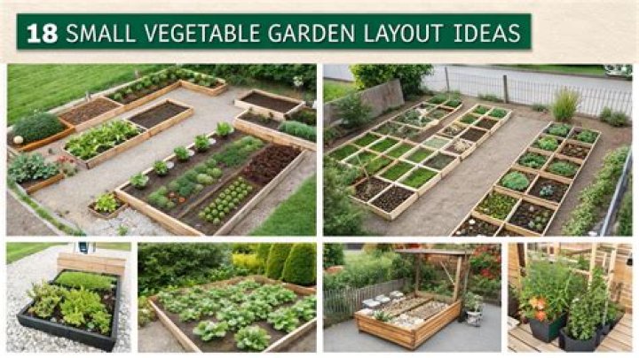 Can grubex be used in a vegetable garden?