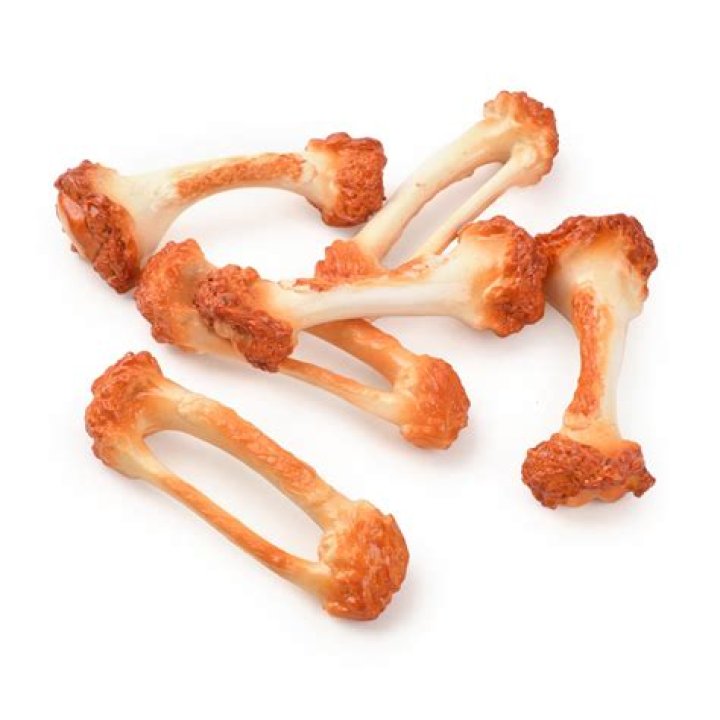 Can I put chicken bones in my garbage disposal?