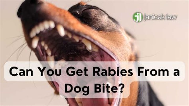 Can you get rabies from a swimming pool?