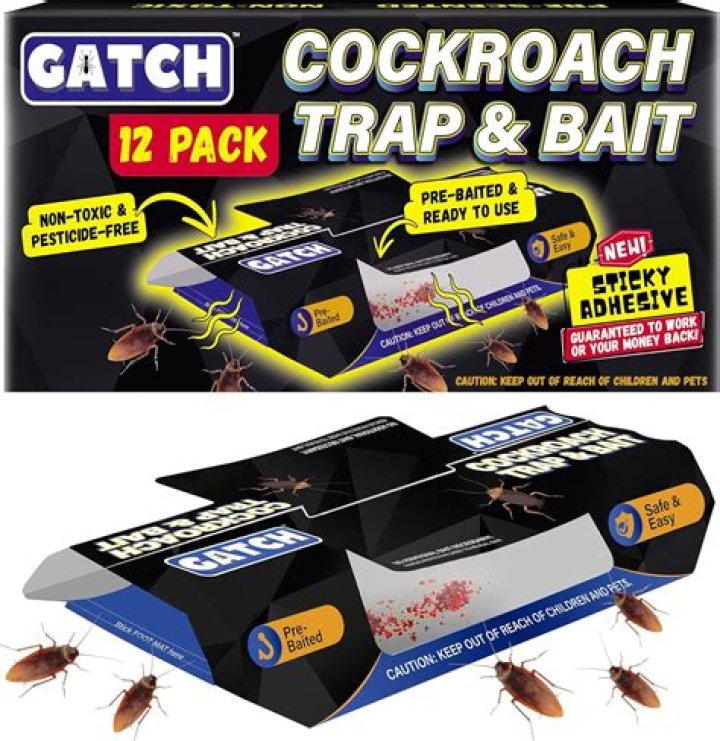 Can you get roaches from storage?