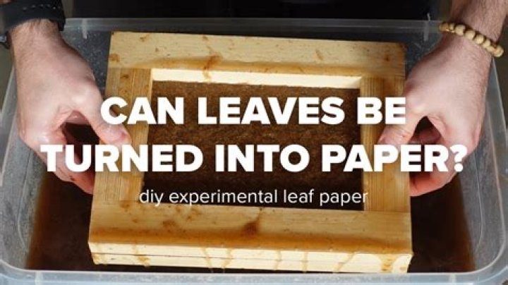 Can you iron leaves with parchment paper?