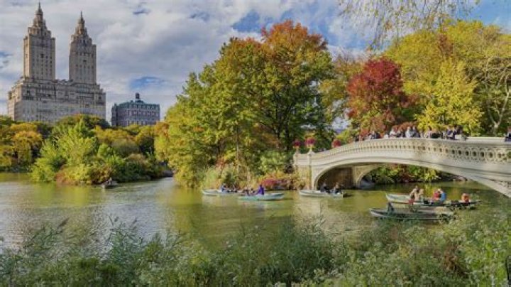 Cape Liberty Shore Excursions
