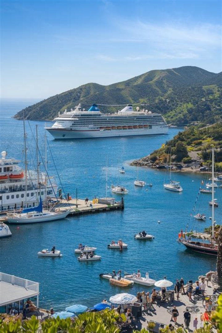 Catalina Island Cruise: Best Cruises to Catalina Island