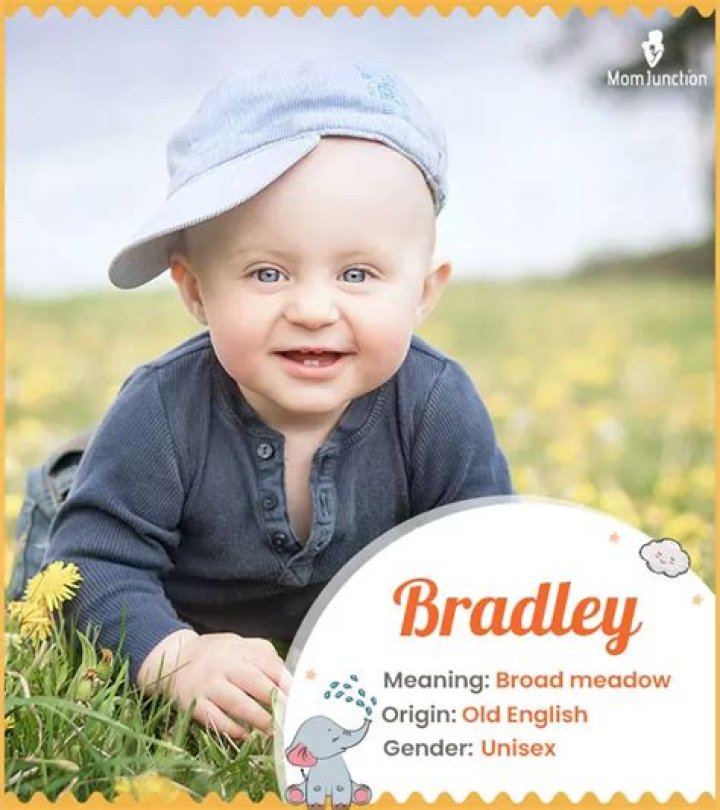 Celebrities named Bradley