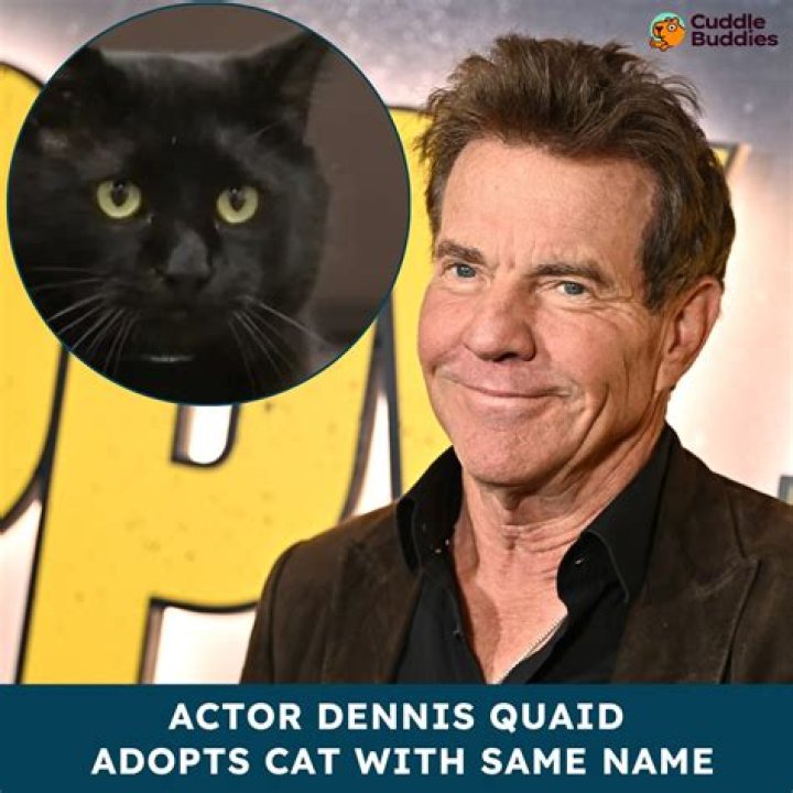 Celebrities named Dennis
