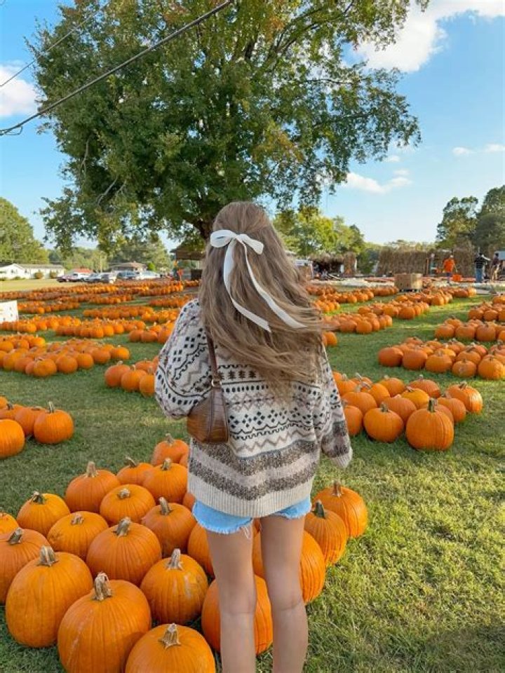 Celebs at the Hollywood pumpkin patch