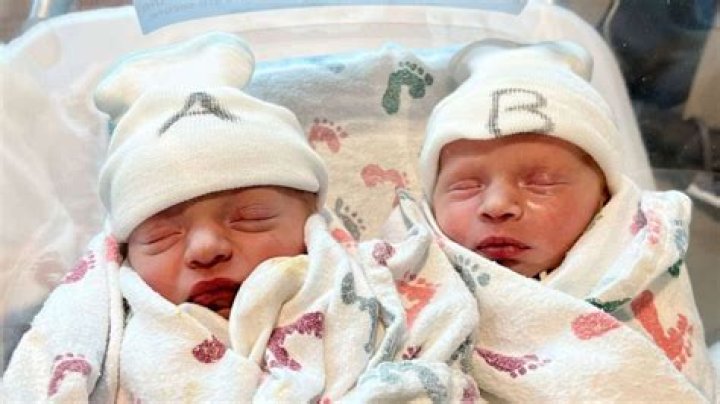 Celine Dion gives birth to her twin boys