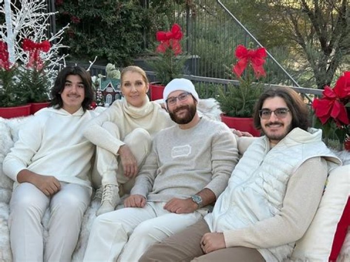 Celine Dion is due to have twin boys in two months (update: photo of pregnant Celine!)
