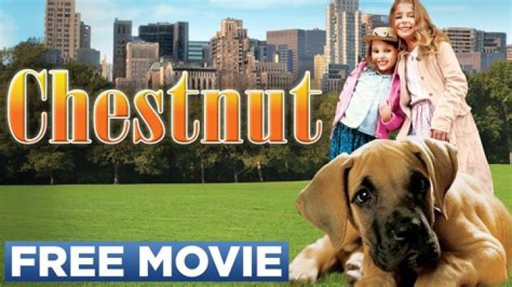 Chestnut: Hero of Central Park