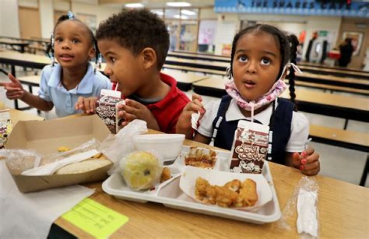 Consumer Reports want Lunchables removed from school lunches due to lead