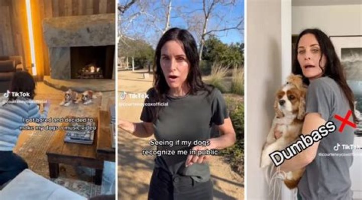 Courteney Cox Is an Obsessed Dog Mom Trying Her Best