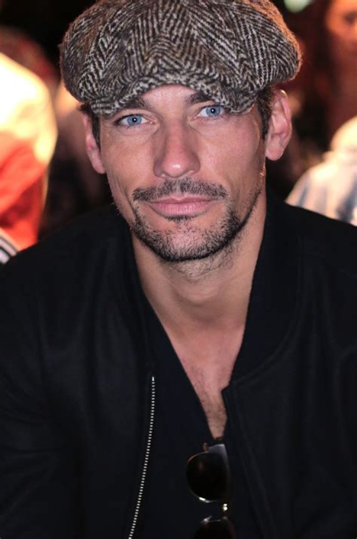 David Gandy Bio (Wiki) 