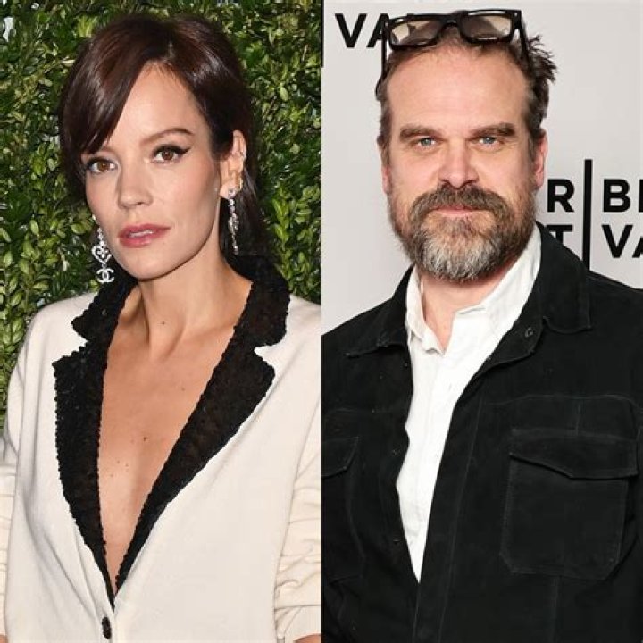 David Harbour and Lily Allen made their Instagram debut