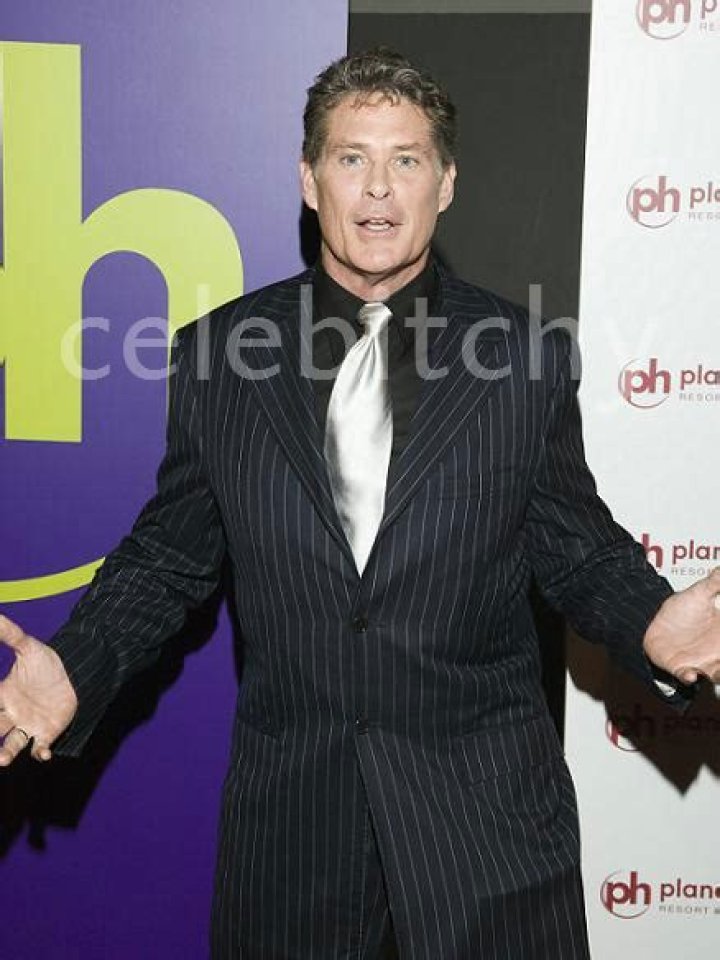 David Hasselhoff back in rehab