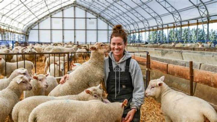 Dawn Lambing Bio (Wiki) 