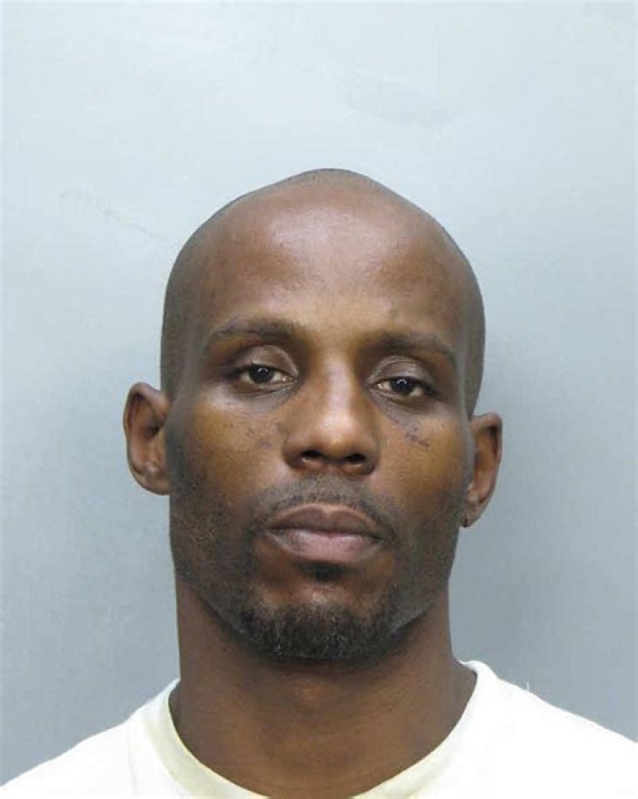 DMX gets 90 days in jail for animal cruelty, possession