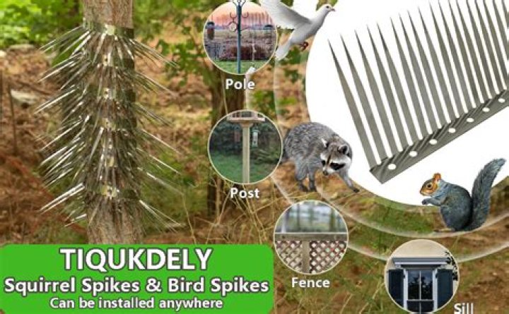 Do bird spikes work for squirrels?