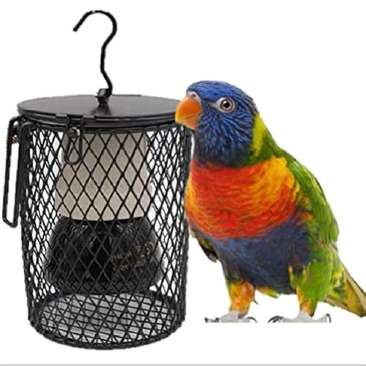 Do birds need heat lamps?
