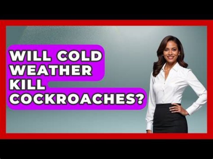 Do cockroaches like cold?