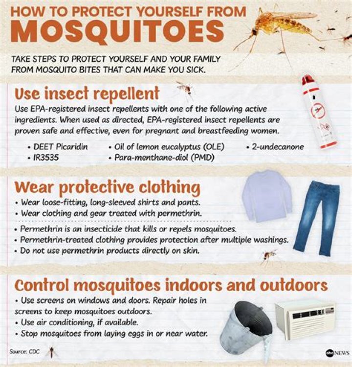 Do Mosquitoes bite your scalp?