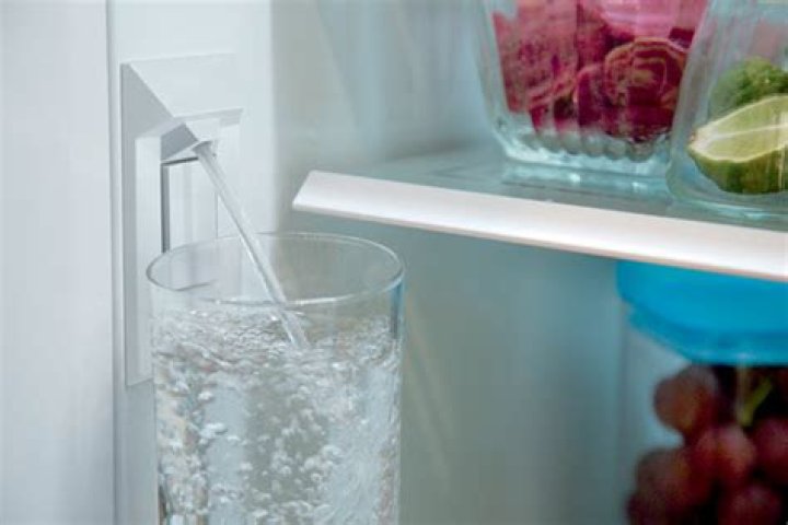 Do Sub Zero refrigerators have water dispensers?