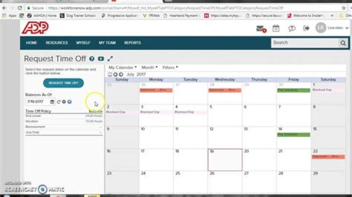 Does ADP track vacation?