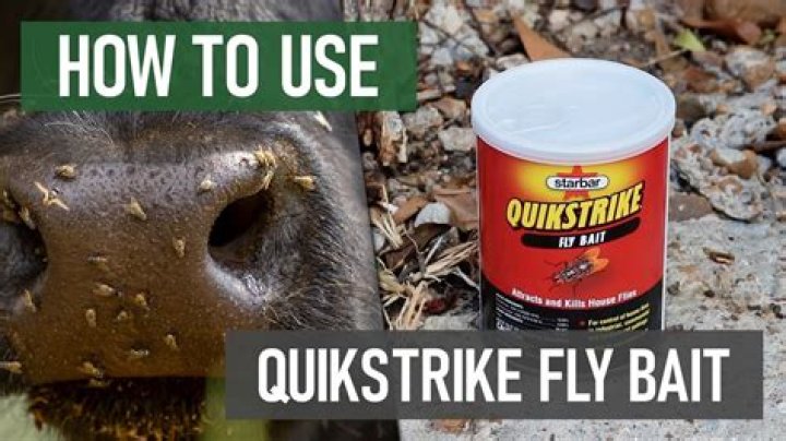 Does fly bait kill skunks?