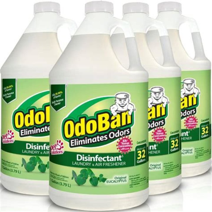 Does Odoban kill mold?