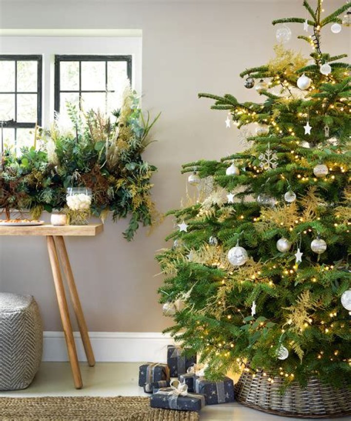 Does sugar water help your Christmas tree?