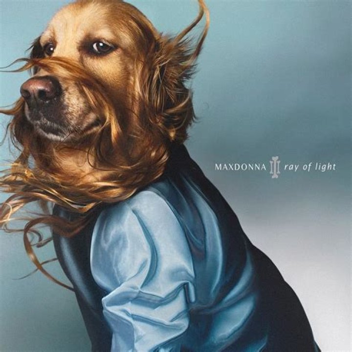 Dog Recreates Iconic Madonna Poses in Series Maxdonna by Vincent Flouret