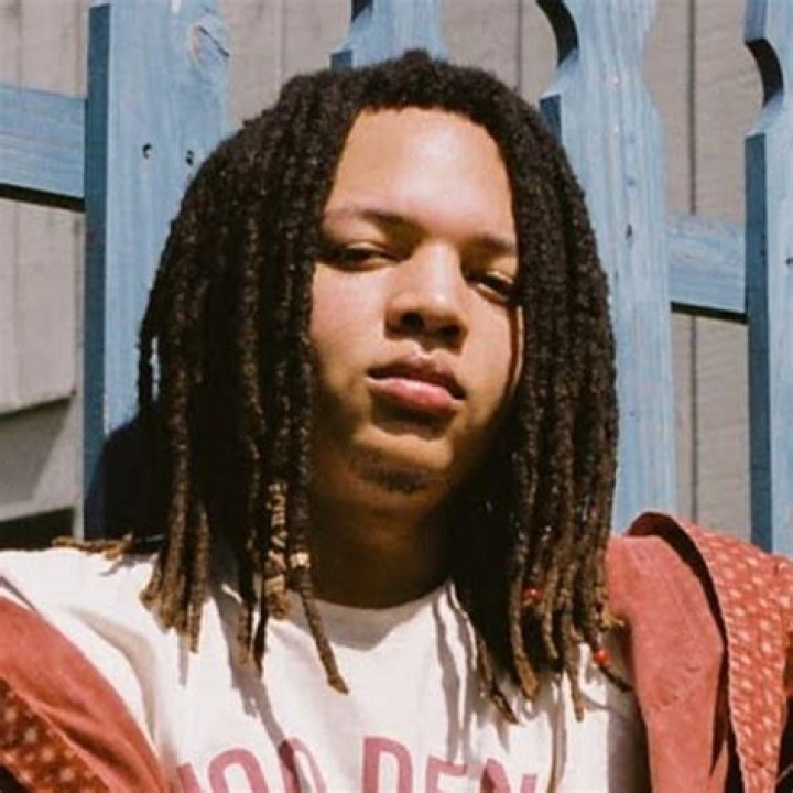 Domani Harris Bio (Wiki) 