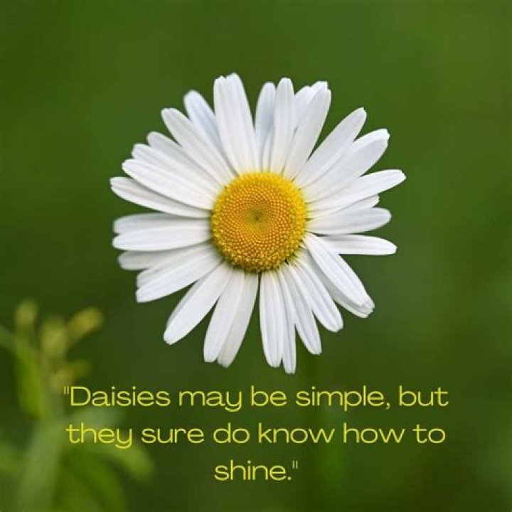 	Drew Barrymore: “Puppies & daisies don’t accomplish anything. That’s not me at all”	