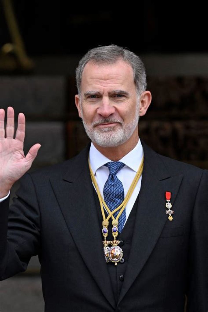 Felipe VI of Spain Net Worth - Wiki, Age, Weight and Height, Relationships, Family, and More